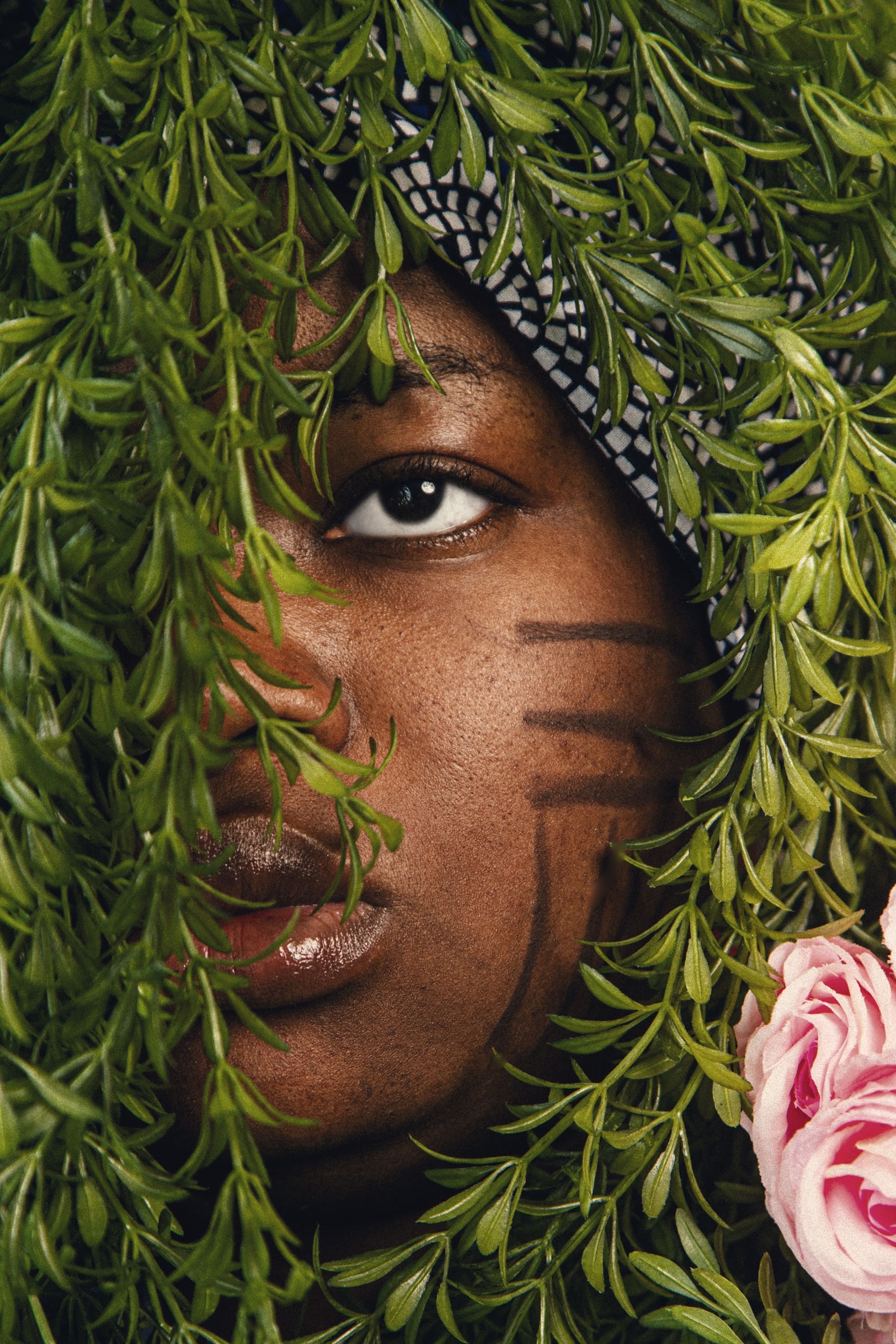 Obìnrin jagunjagu - Fierce Woman Mixed Media